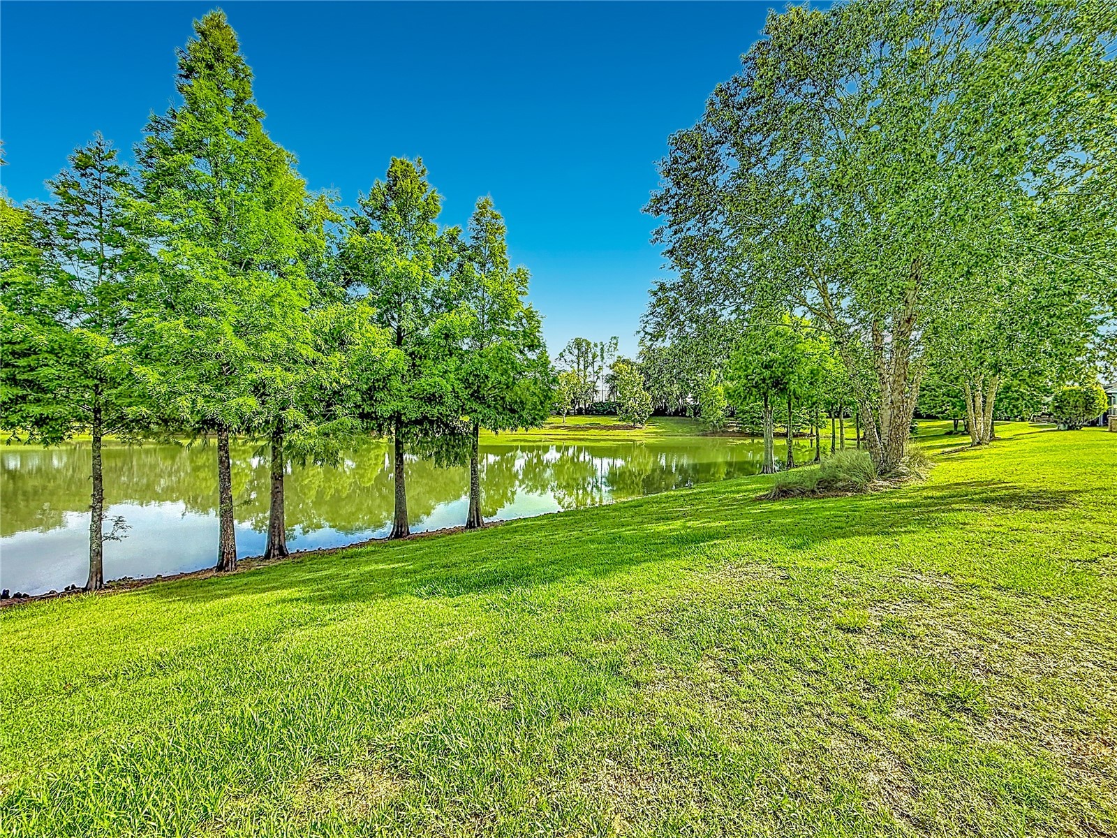 2547 Dividing Creek Path The Villages FL 32162 G5113108 image12
