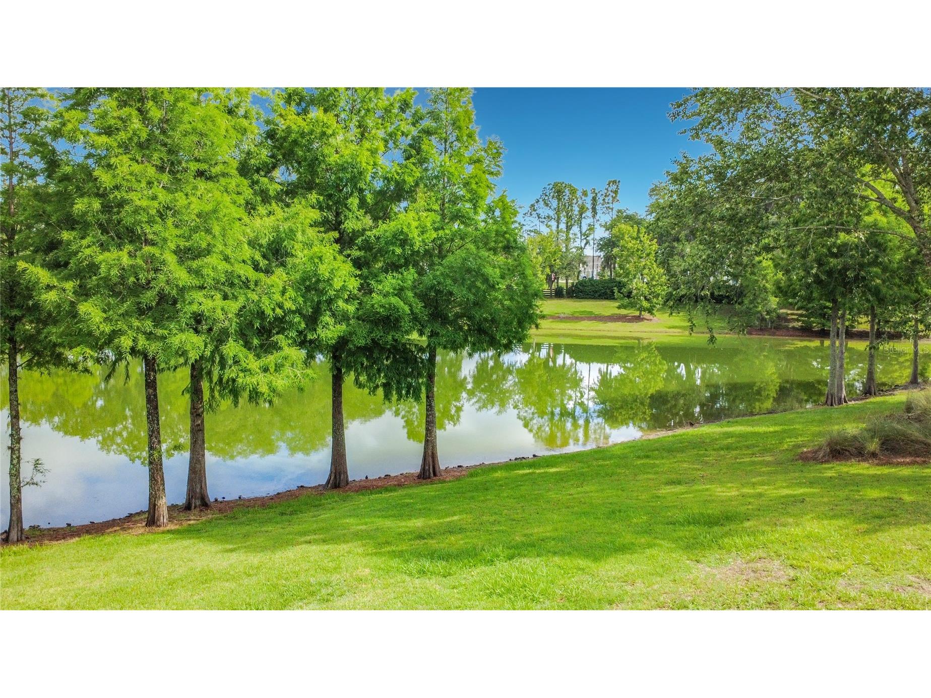2547 Dividing Creek Path The Villages FL 32162 G5113108 image13