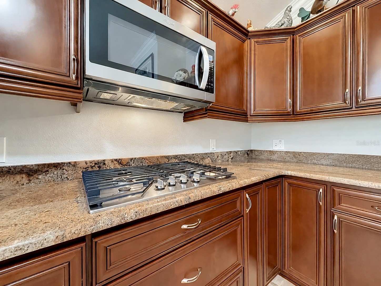 2547 Dividing Creek Path The Villages FL 32162 G5113108 image18