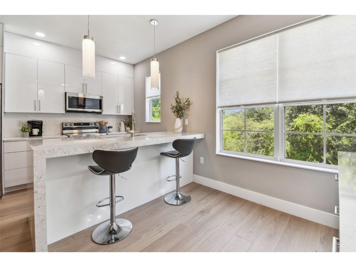 2547 Lexington Oak Drive Brandon FL 33511 TB8379995 image12