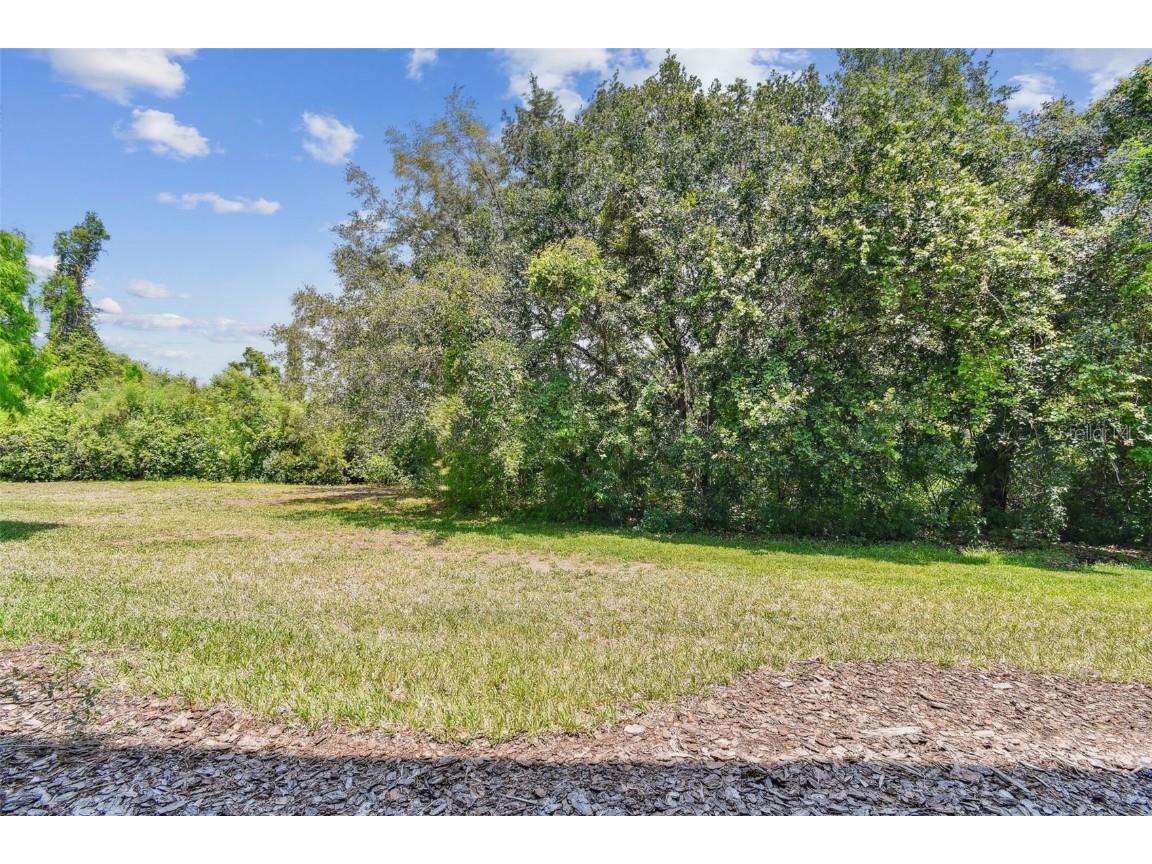 2547 Lexington Oak Drive Brandon FL 33511 TB8379995 image26