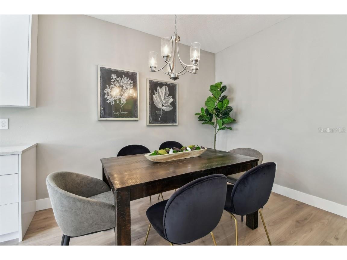 2547 Lexington Oak Drive Brandon FL 33511 TB8379995 image7