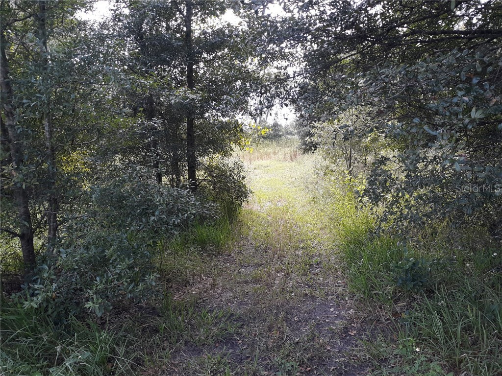 2547 State Rd 50 Webster FL 33597 G5047541 image1