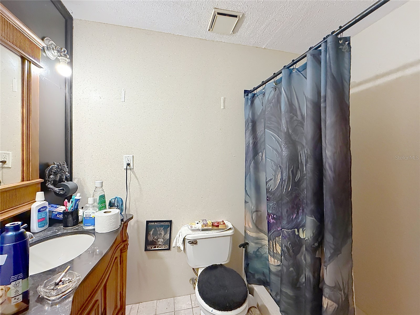2548 Cr 422 Lake Panasoffkee FL 33538 TB8503203 image19