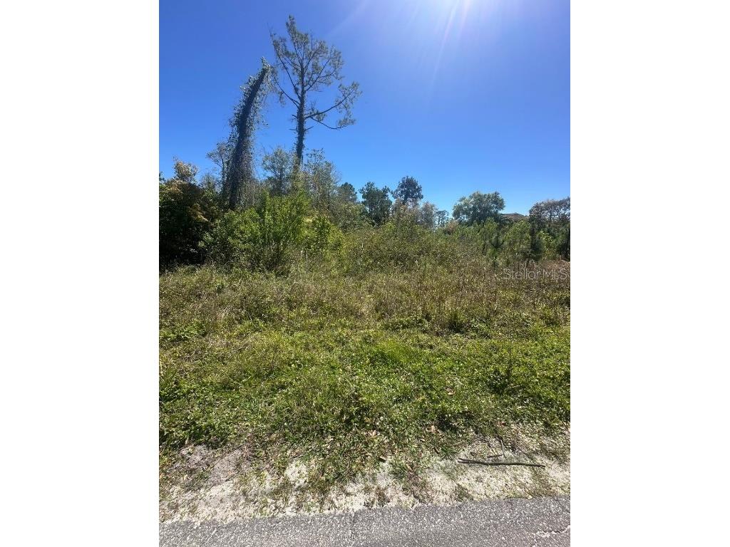 2548 E Lake Drive Deland FL 32724 V4941337 image2