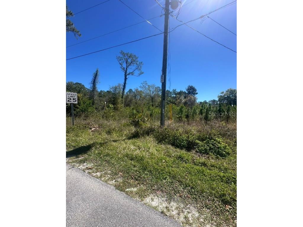 2548 E Lake Drive Deland FL 32724 V4941337 image3