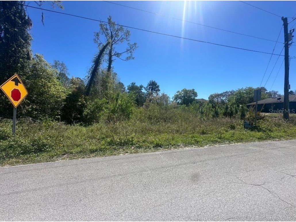 2548 E Lake Drive Deland FL 32724 V4941337 image4