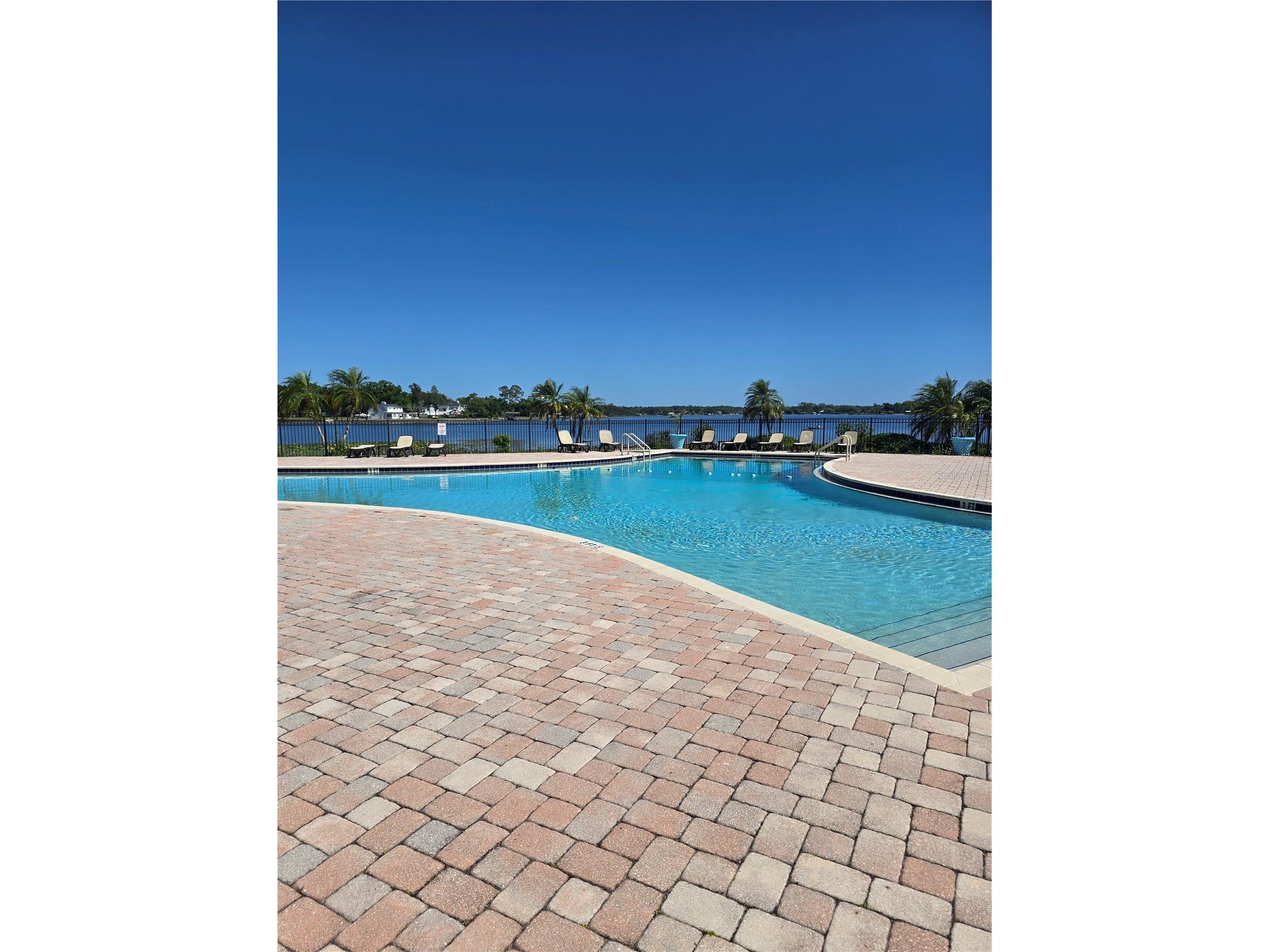 2549 Cedar Cypress Court Tampa FL 33618 TB8496503 image7