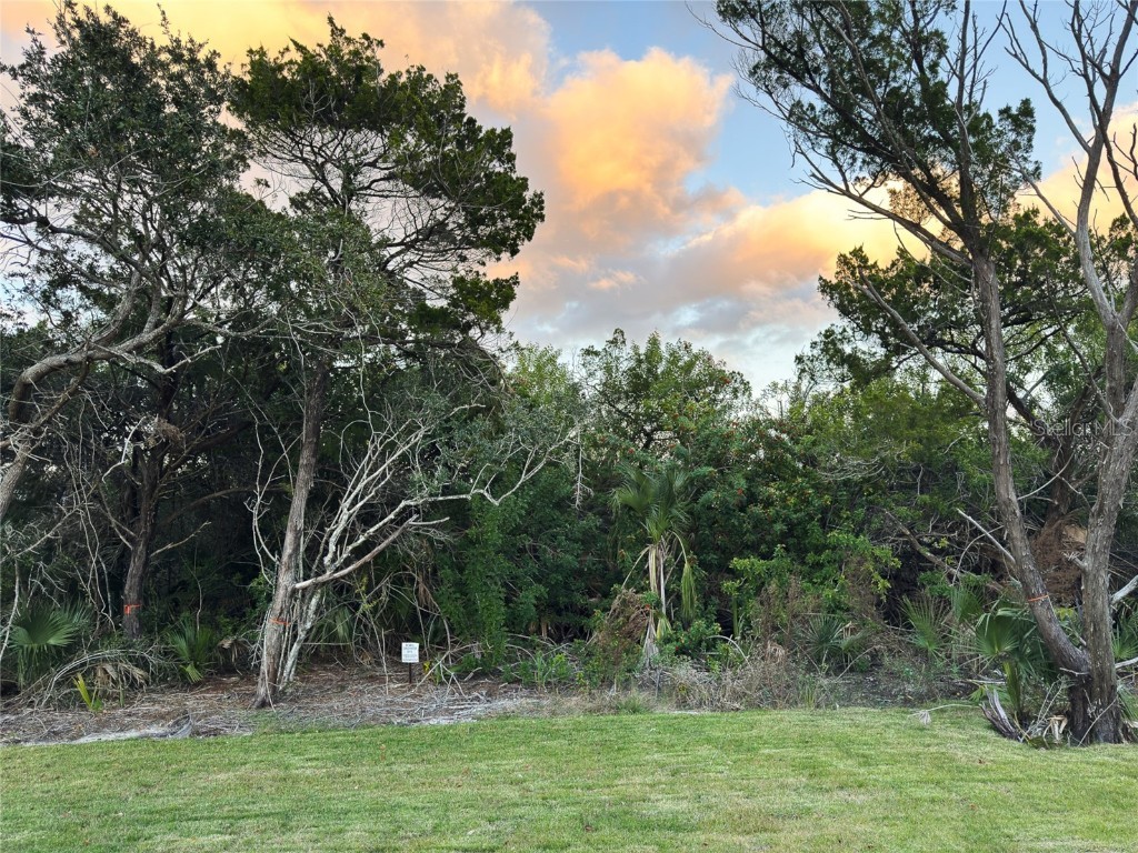 2549 Palm Avenue Flagler Beach FL 32136 FC314622 image63