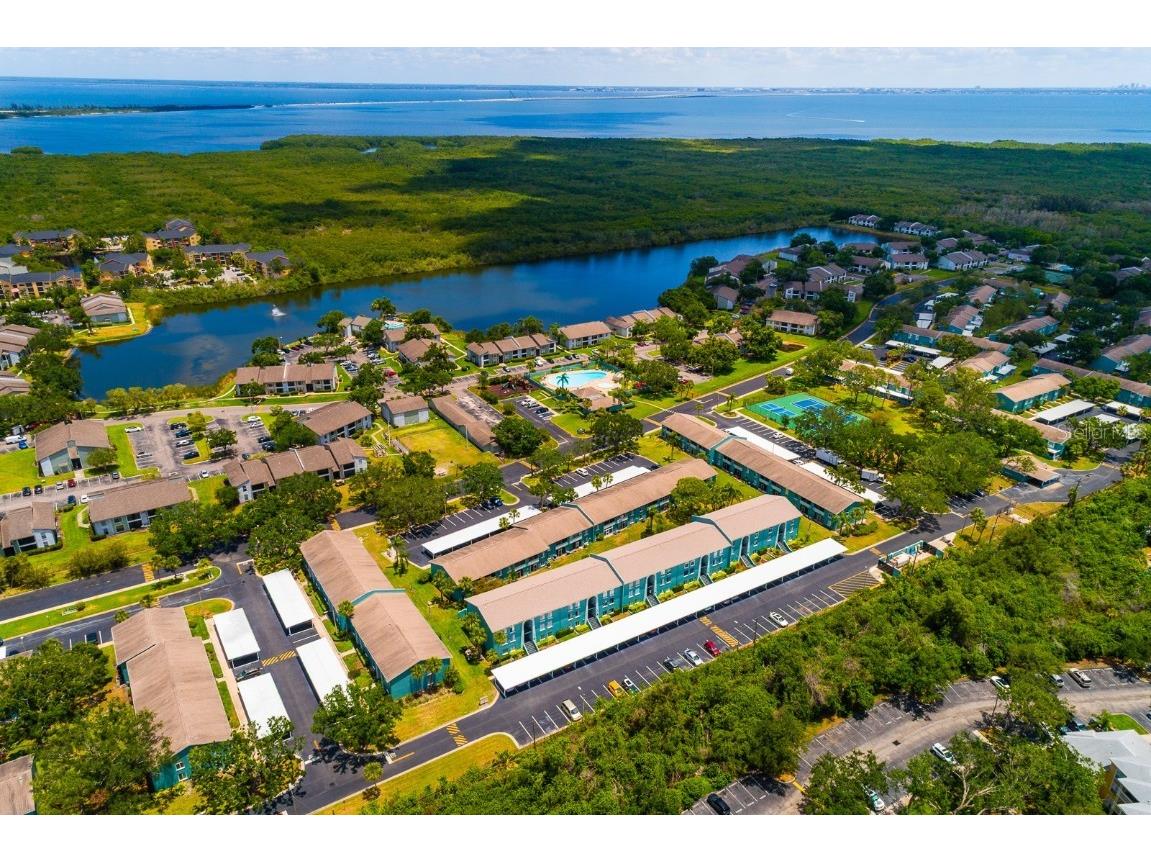 255 114th Avenue N #4 Saint Petersburg FL 33716 TB8388914 image1