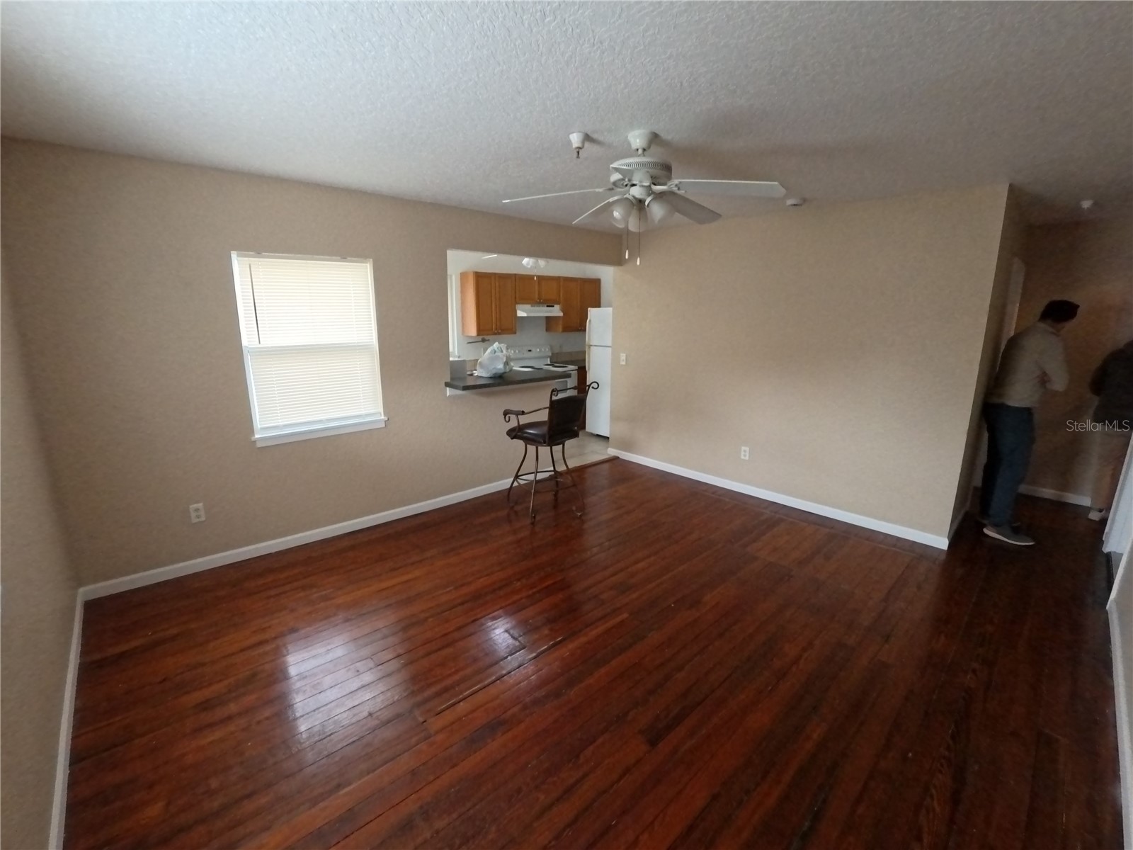 255 6th Avenue N Saint Petersburg FL 33701 TB8522549 image21