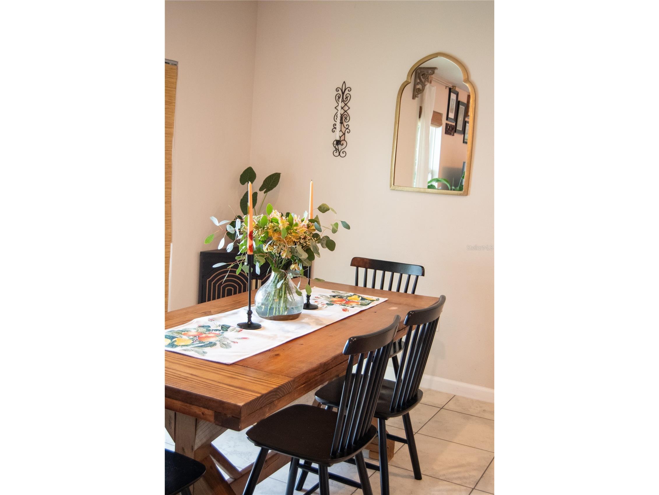 255 August Fern Loop Mount Dora FL 32757 O6402952 image12