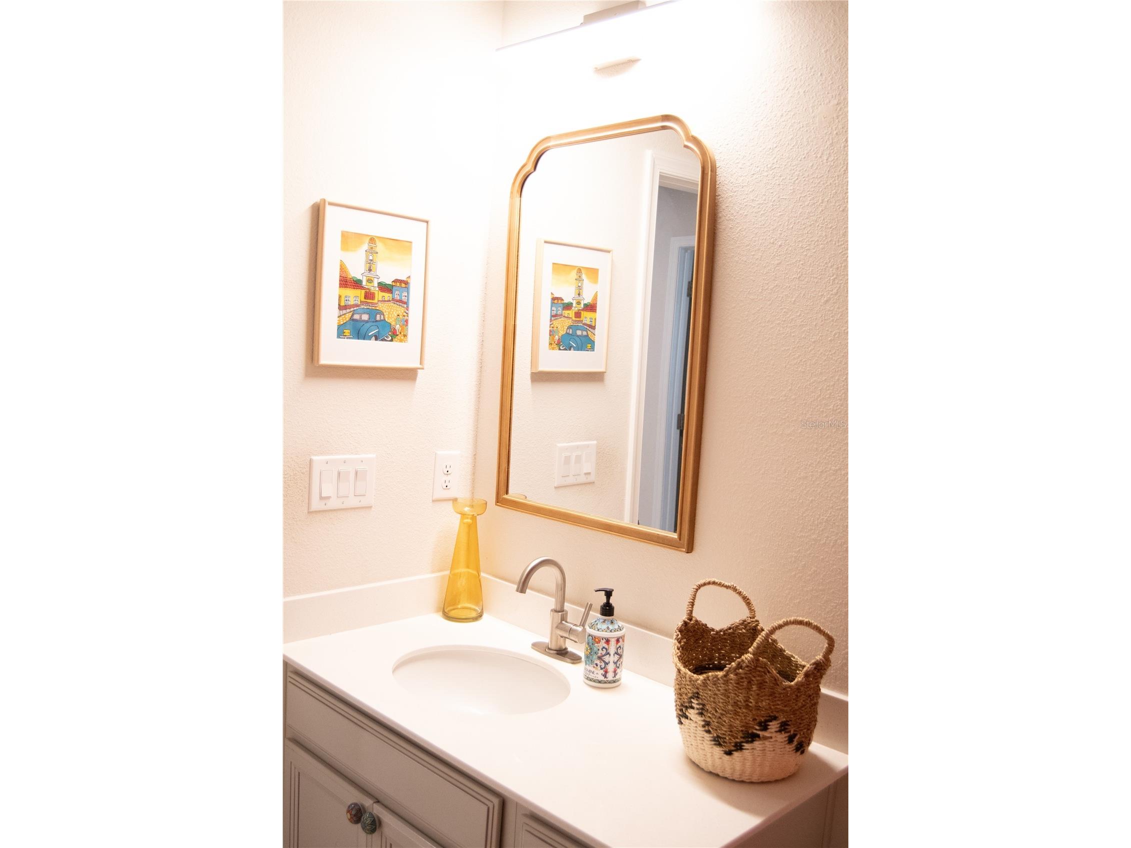255 August Fern Loop Mount Dora FL 32757 O6402952 image19