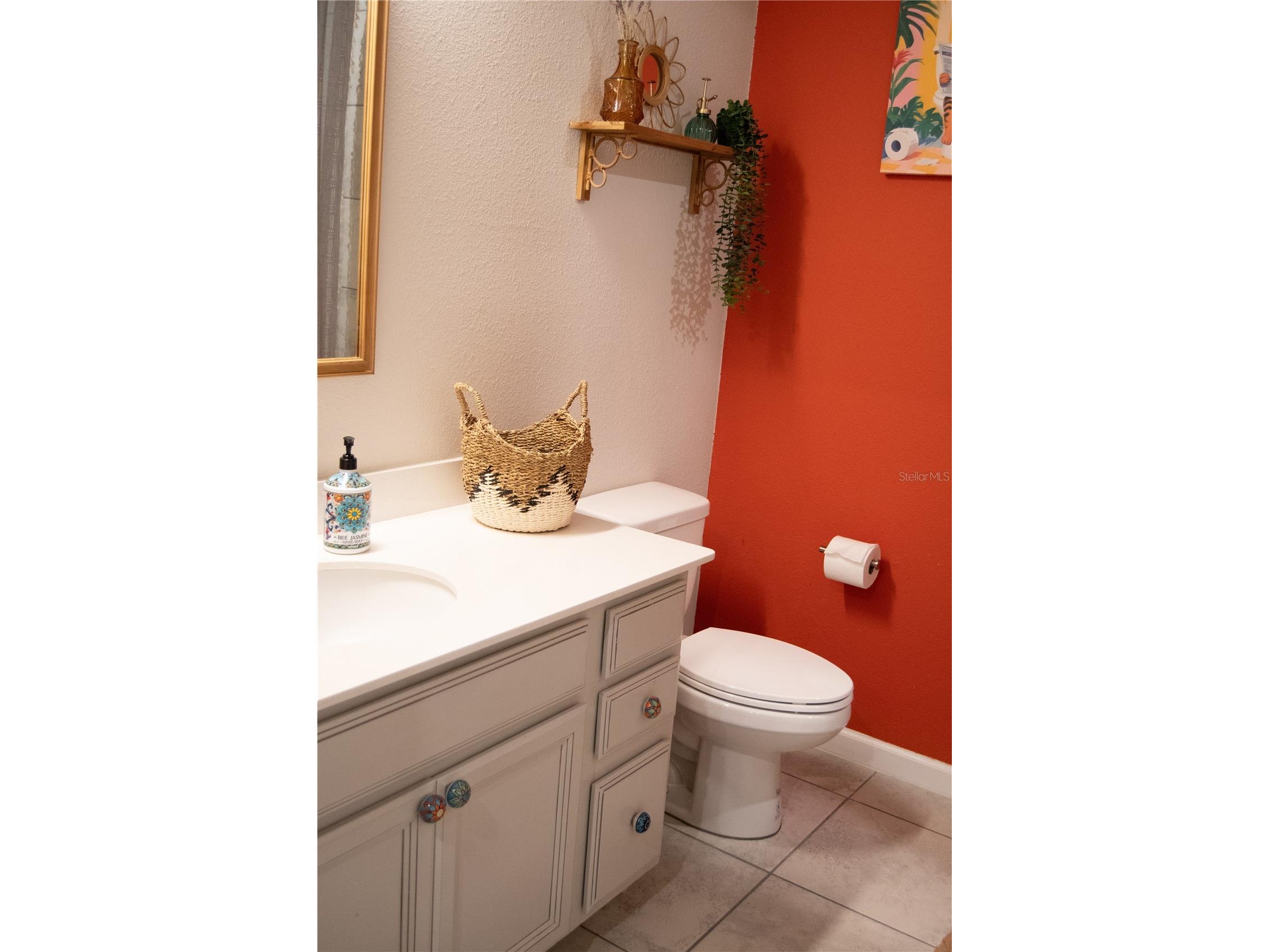 255 August Fern Loop Mount Dora FL 32757 O6402952 image21