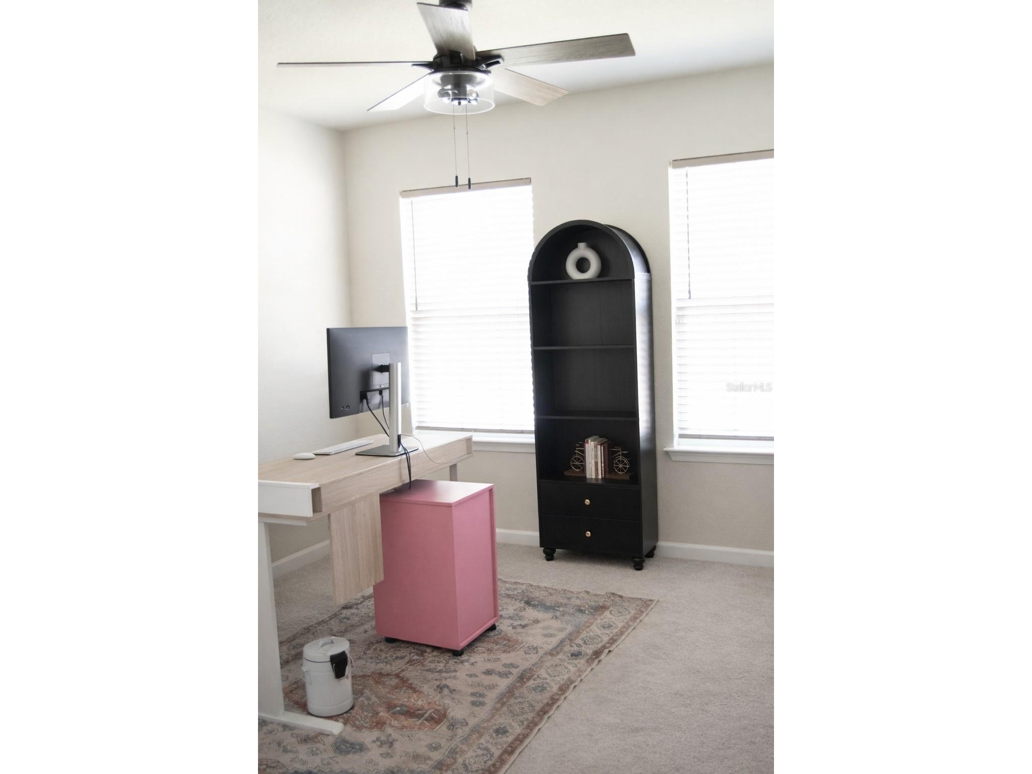 255 August Fern Loop Mount Dora FL 32757 O6402952 image22