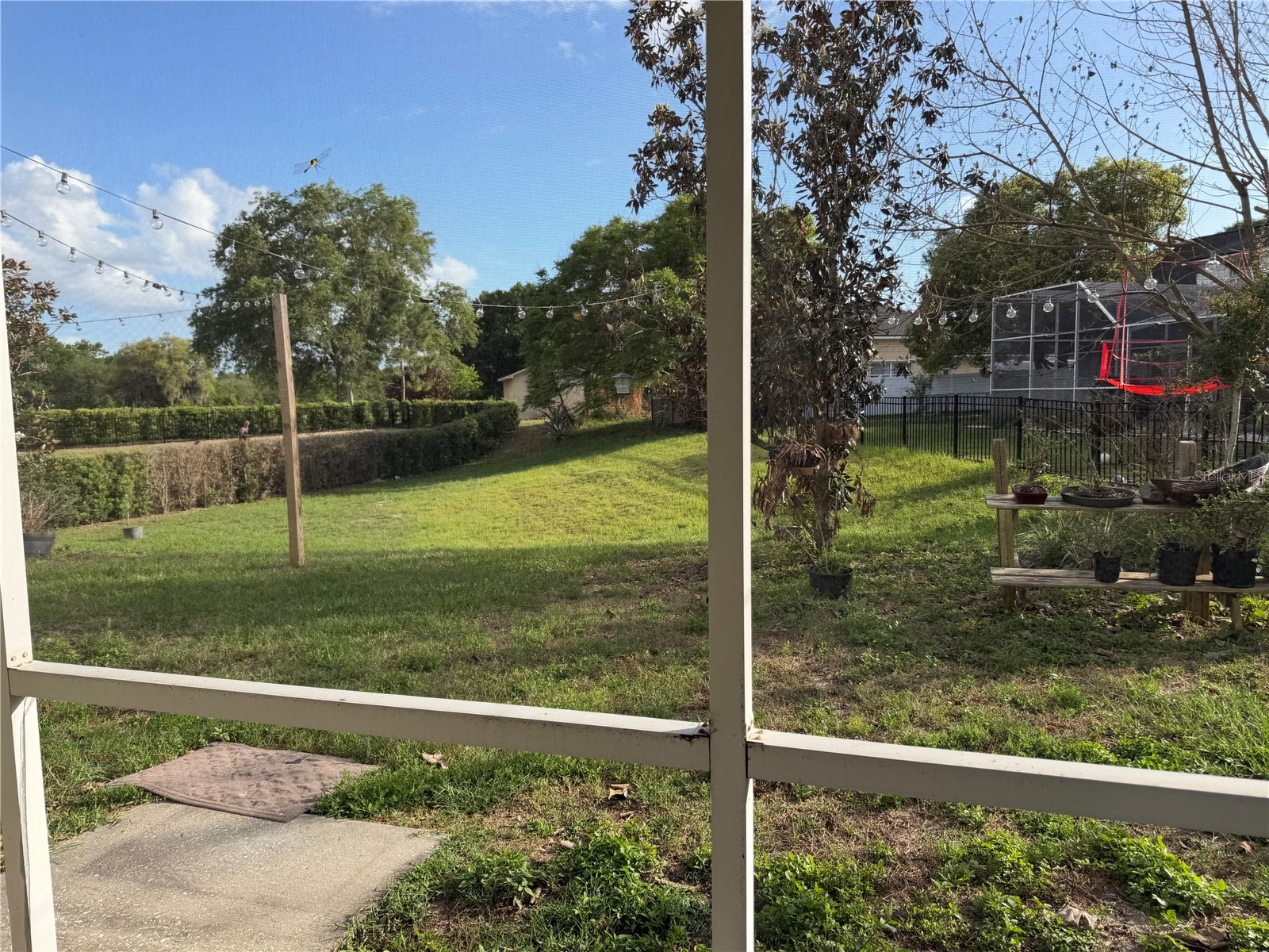 255 Bayberry Drive Polk City FL 33868 G5111035 image15