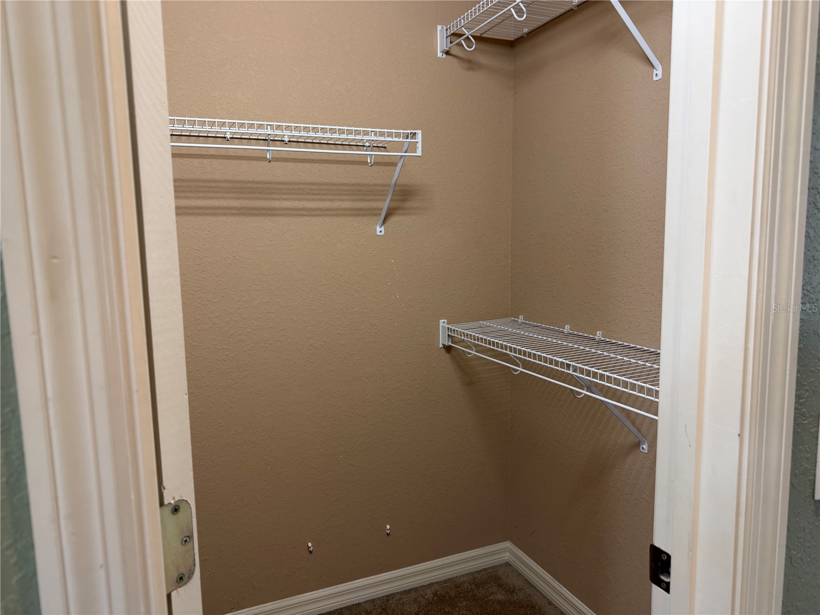 255 Bayberry Drive Polk City FL 33868 G5111035 image22