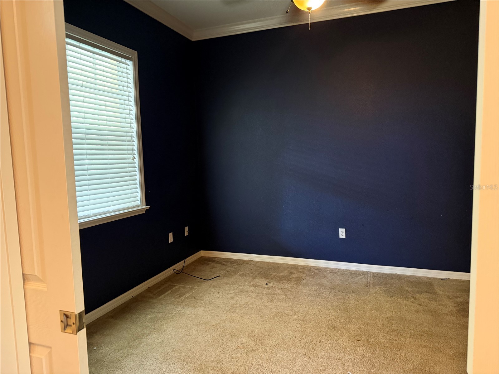 255 Bayberry Drive Polk City FL 33868 G5111035 image30