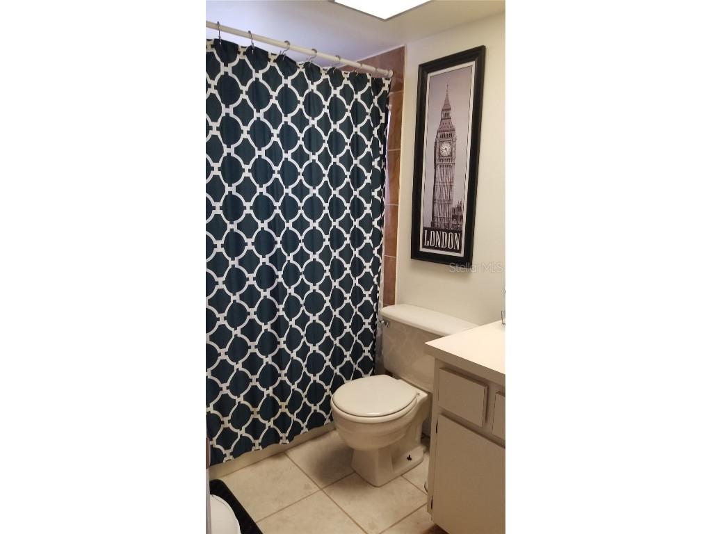 255 Capri Circle N #17 Treasure Island FL 33706 TB8338453 image41