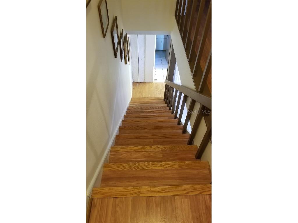 255 Capri Circle N #17 Treasure Island FL 33706 TB8338453 image50