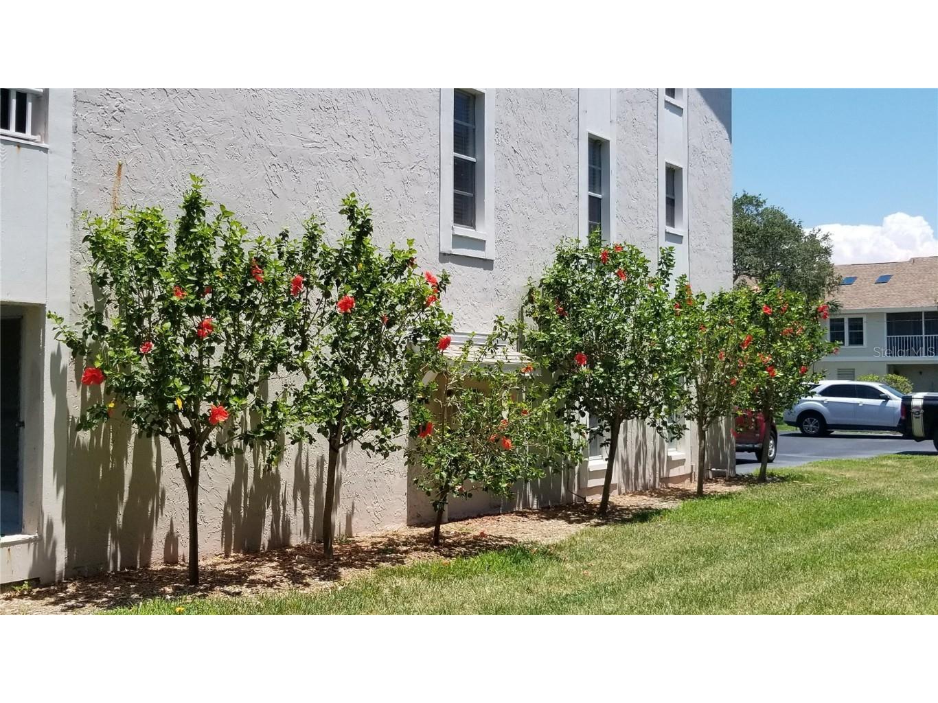 255 Capri Circle N #17 Treasure Island FL 33706 TB8338453 image55