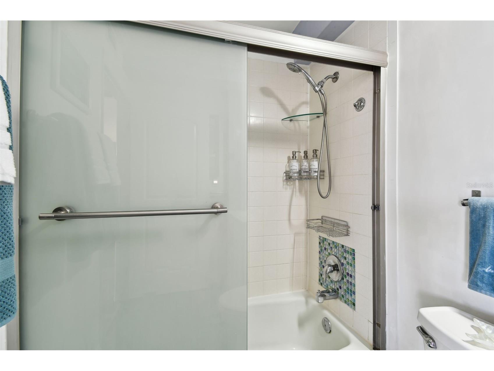 255 Dolphin Point #207 Clearwater Beach FL 33767 TB8506656 image20