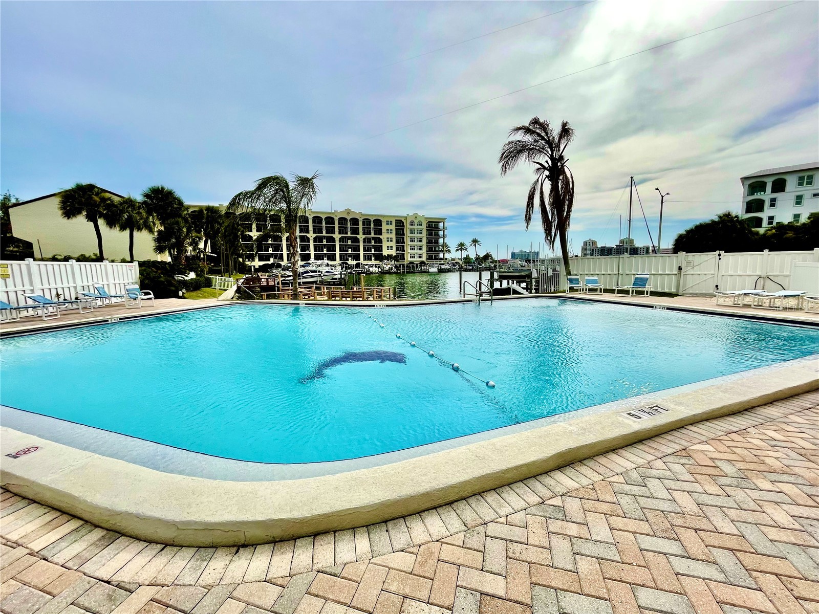 255 Dolphin Point #809 Clearwater FL 33767 - GULF OF MEXICO U8246959 image18