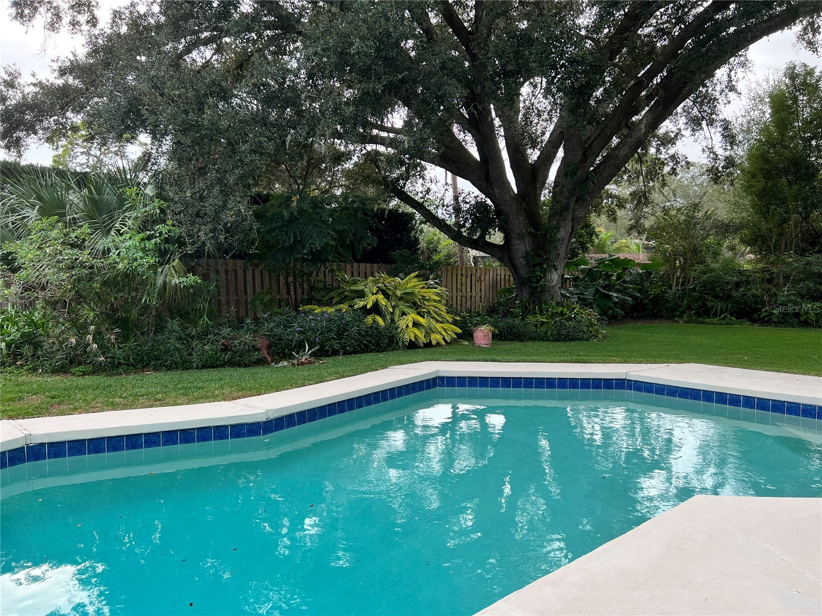 255 E Hornbeam Drive Longwood FL 32779 O6384709 image36