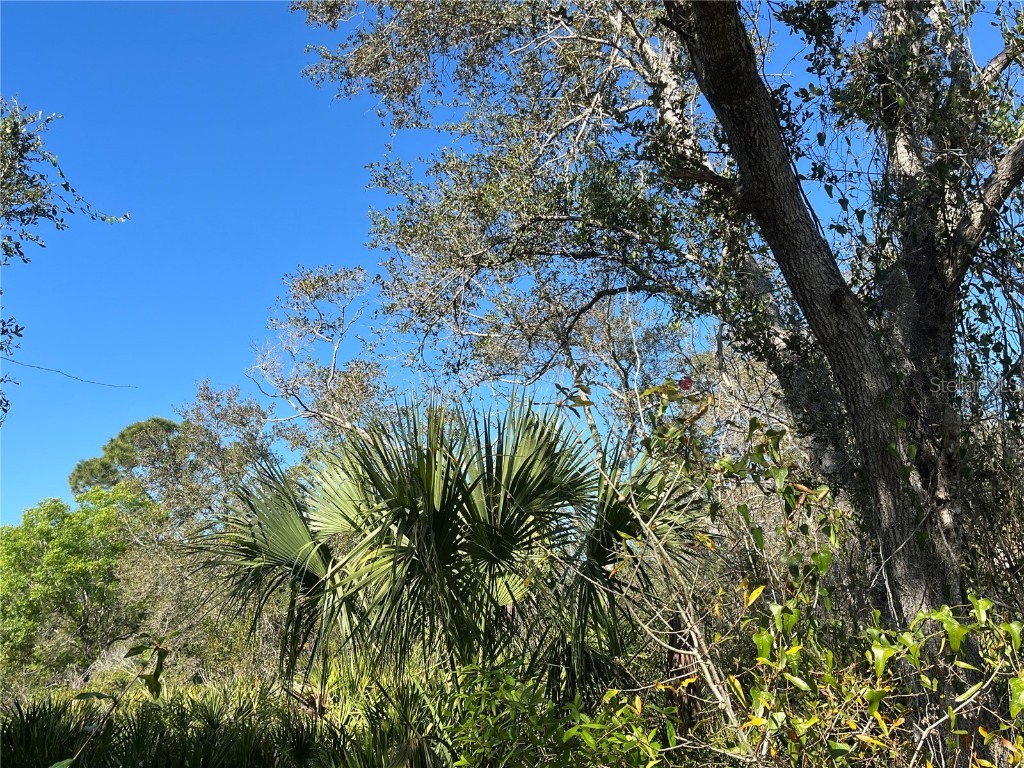 255 Farber Street Port Charlotte FL 33953 C7488198 image1