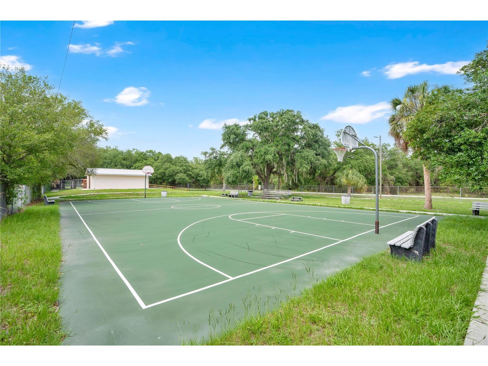255 Hooker Street Mulberry FL 33860 TB8516386 image23
