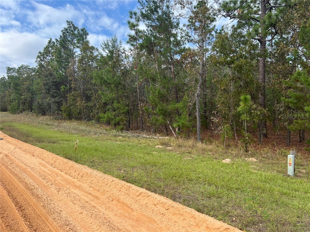 255 Melrose Landing Drive Hawthorne FL 32640 GC526240 image2