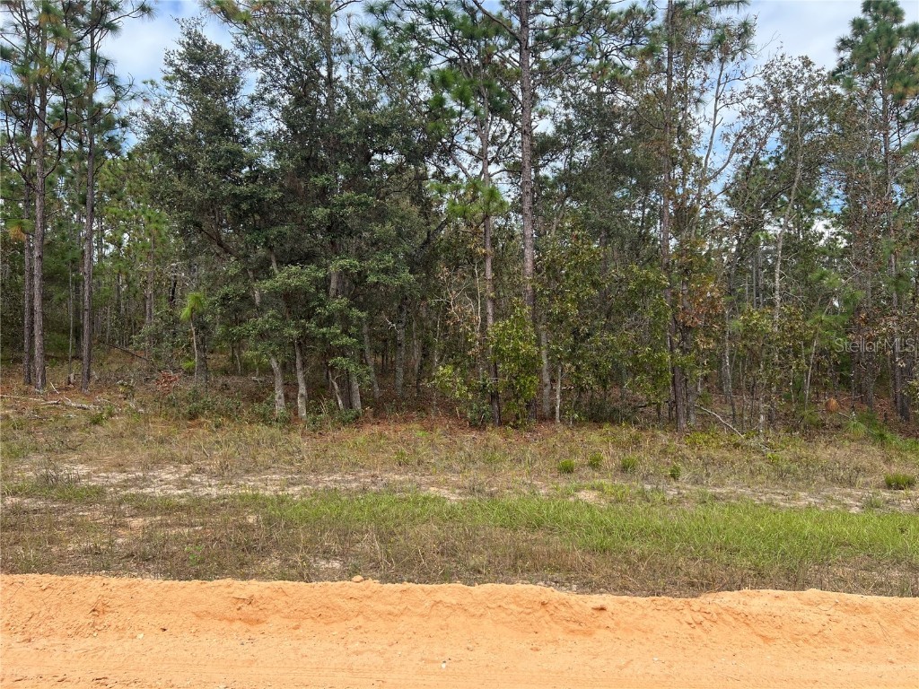 255 Melrose Landing Drive Hawthorne FL 32640 GC526240 image3