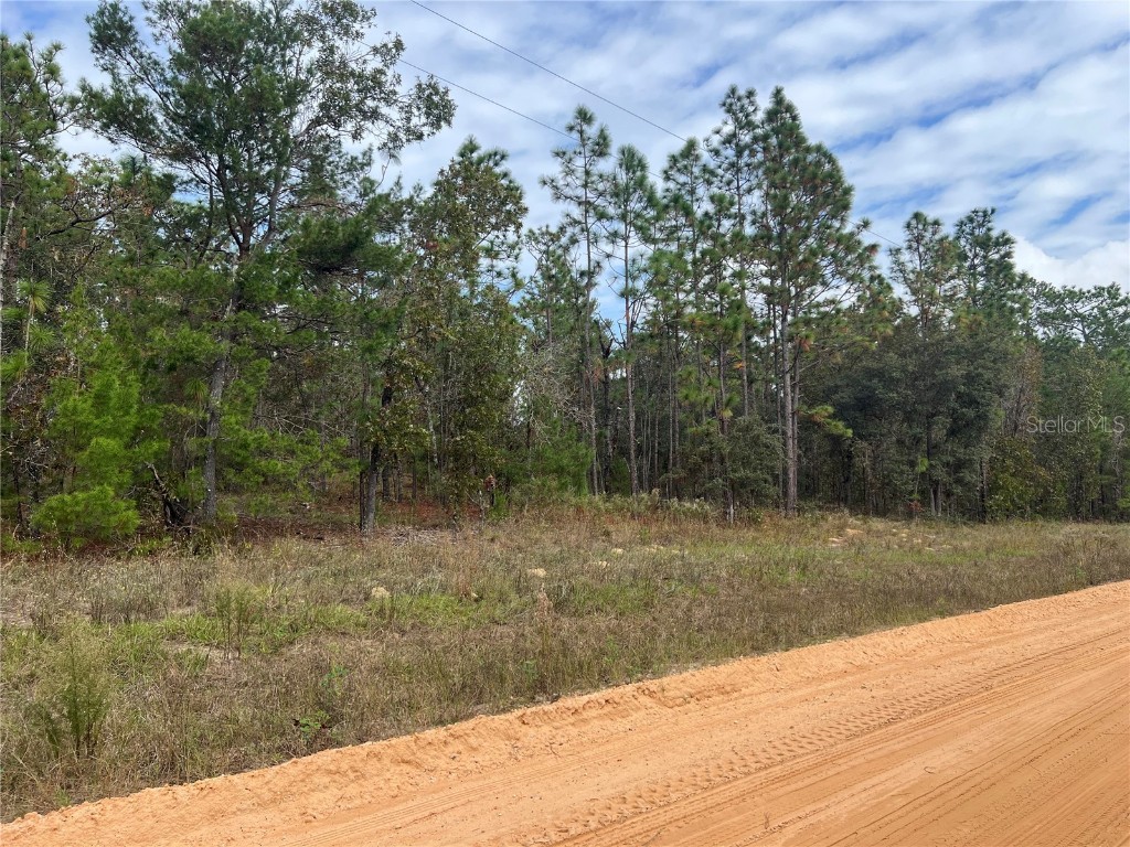 255 Melrose Landing Drive Hawthorne FL 32640 GC526240 image4