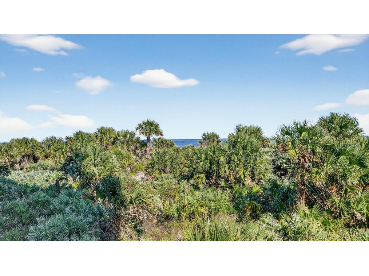 255 Minorca Beach Way #206 New Smyrna Beach FL 32169 - ATLANTIC OCEAN NS1086535 image17