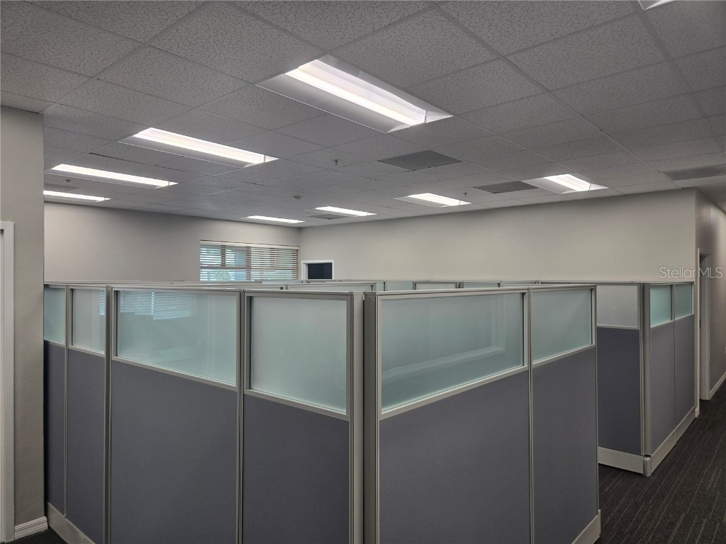 255 Pine Avenue N Oldsmar FL 34677 TB8391758 image10