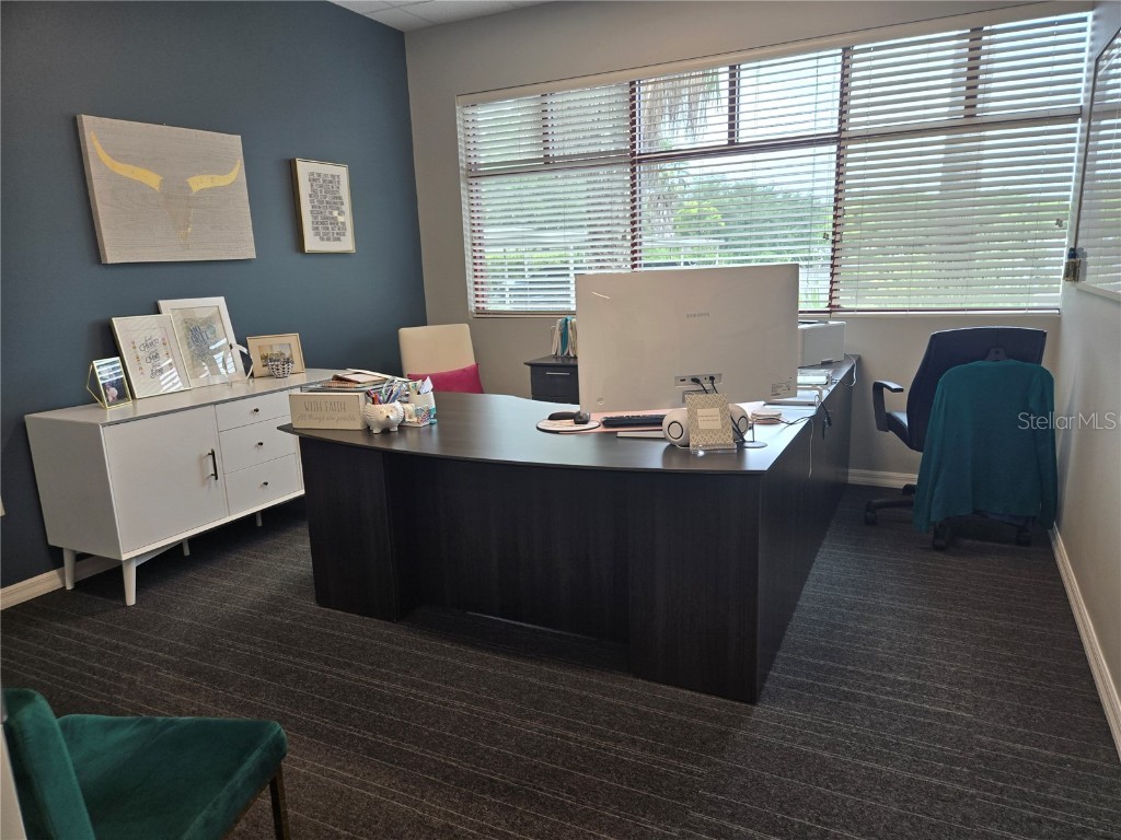 255 Pine Avenue N Oldsmar FL 34677 TB8391758 image11