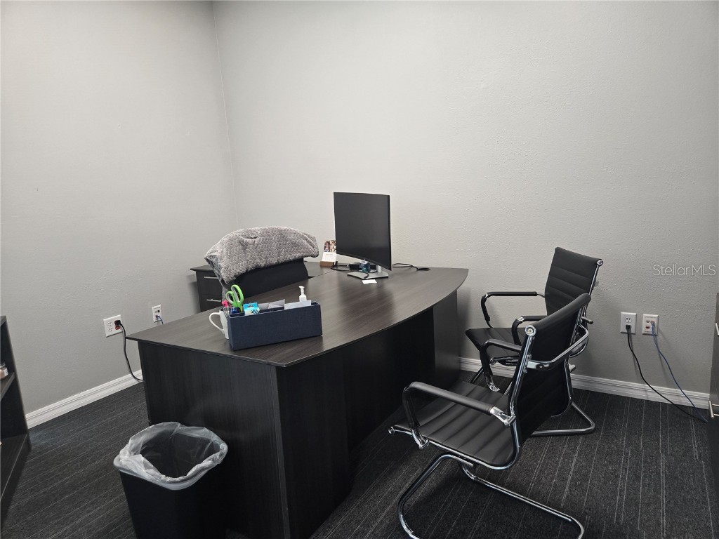 255 Pine Avenue N Oldsmar FL 34677 TB8391758 image12