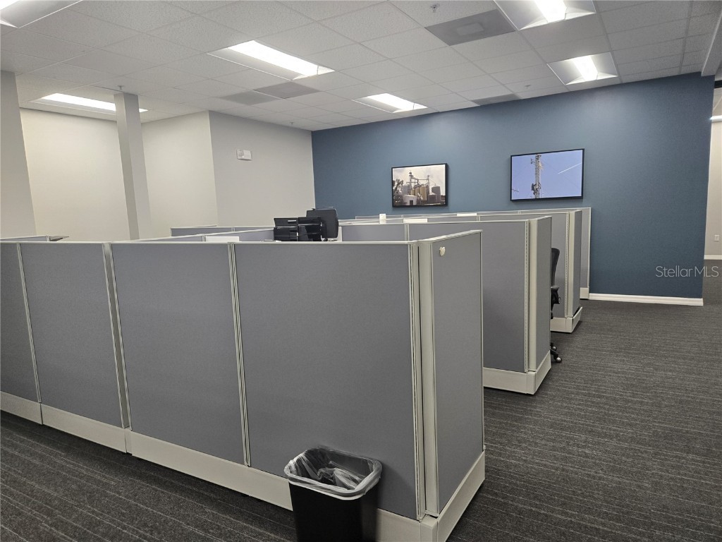 255 Pine Avenue N Oldsmar FL 34677 TB8391758 image13