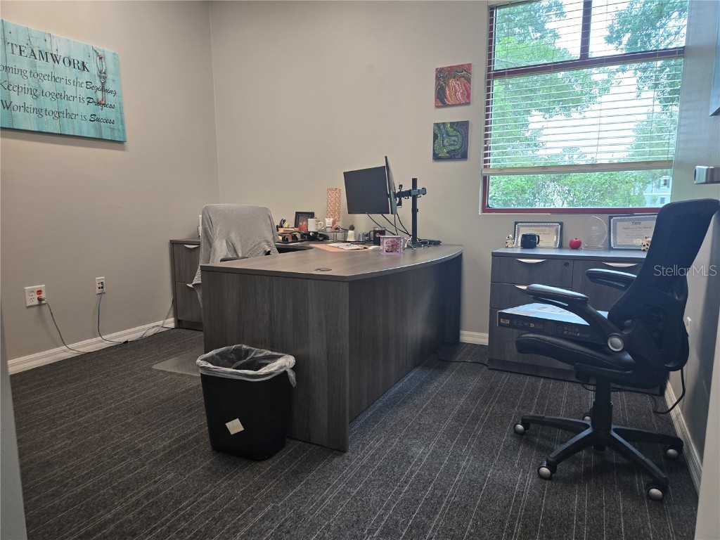 255 Pine Avenue N Oldsmar FL 34677 TB8391758 image18