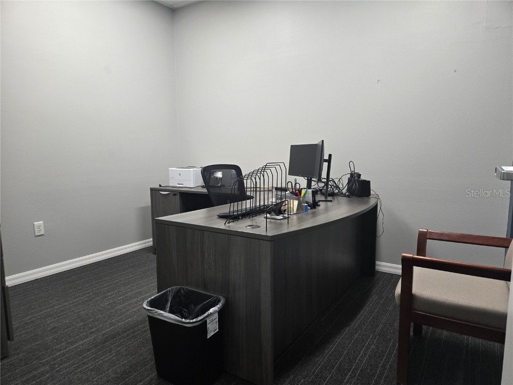 255 Pine Avenue N Oldsmar FL 34677 TB8391758 image19