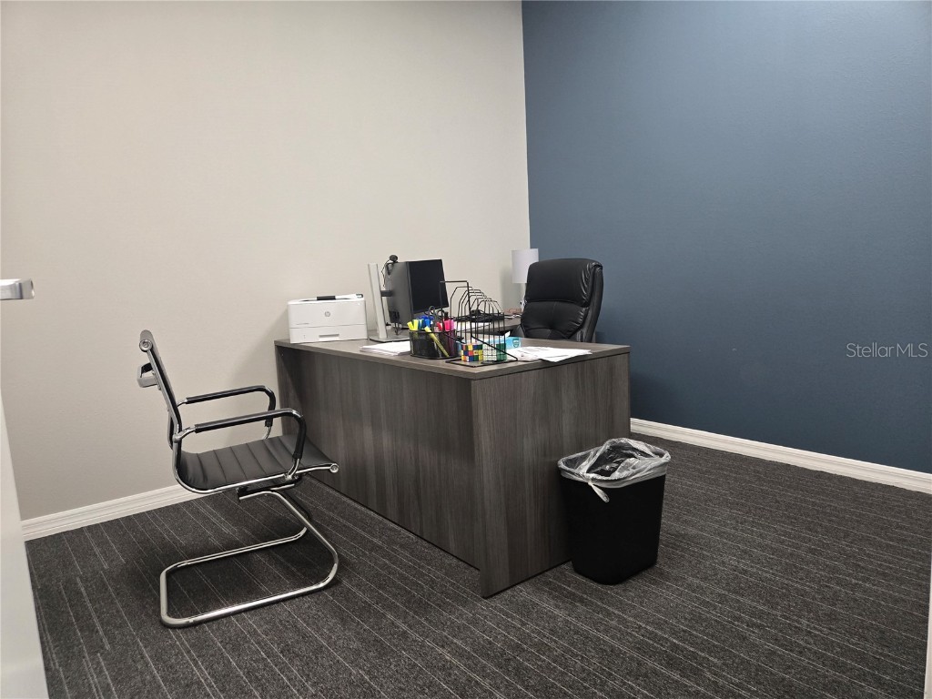 255 Pine Avenue N Oldsmar FL 34677 TB8391758 image22