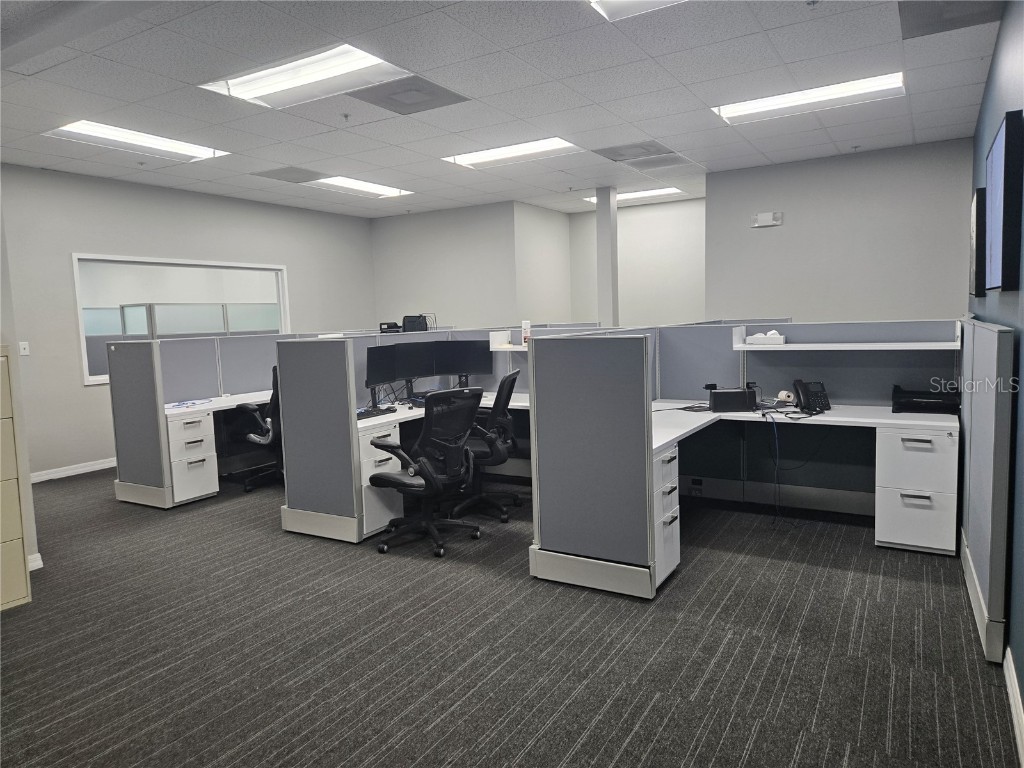 255 Pine Avenue N Oldsmar FL 34677 TB8391758 image25