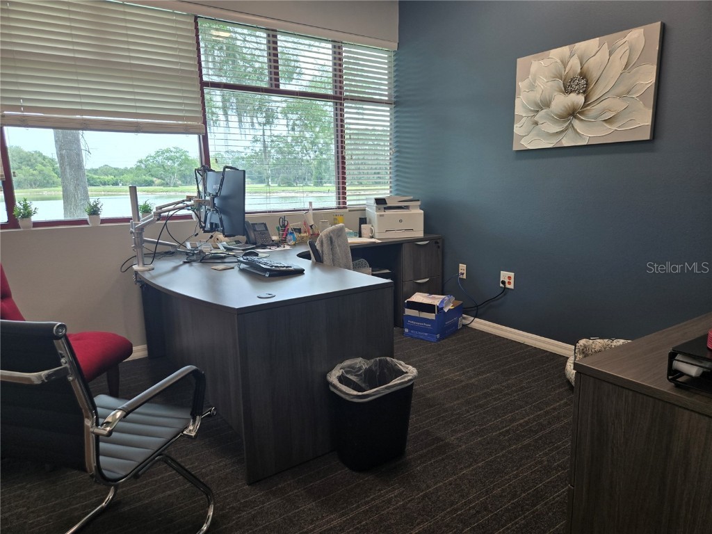 255 Pine Avenue N Oldsmar FL 34677 TB8391758 image30