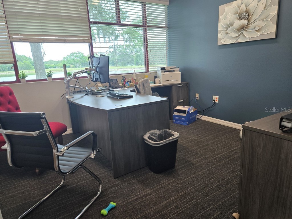 255 Pine Avenue N Oldsmar FL 34677 TB8391758 image34