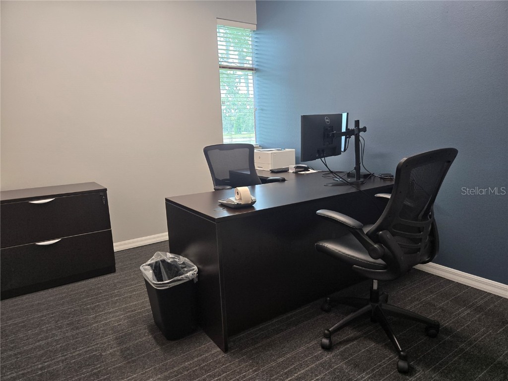 255 Pine Avenue N Oldsmar FL 34677 TB8391758 image35