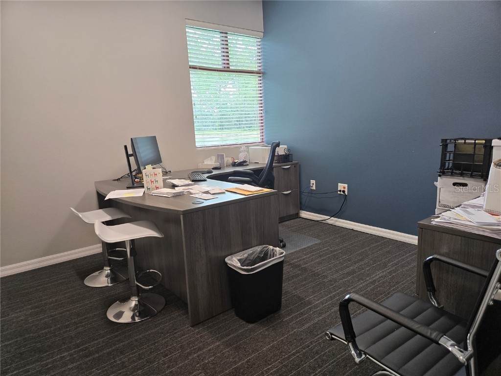 255 Pine Avenue N Oldsmar FL 34677 TB8391758 image37