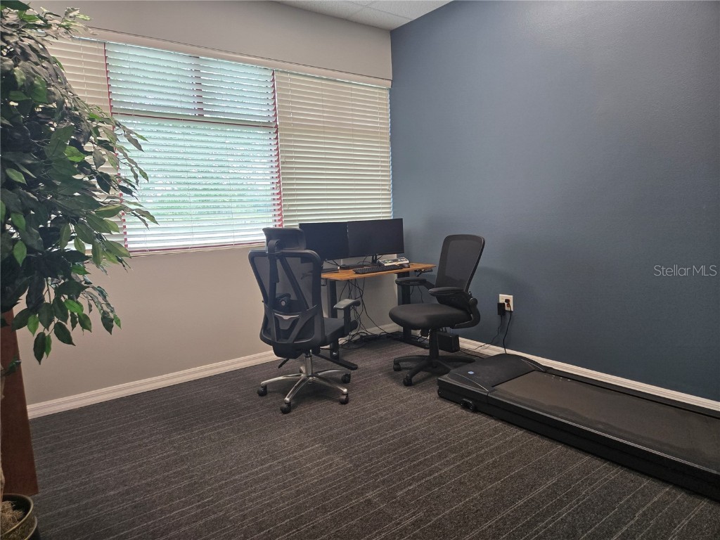 255 Pine Avenue N Oldsmar FL 34677 TB8391758 image38