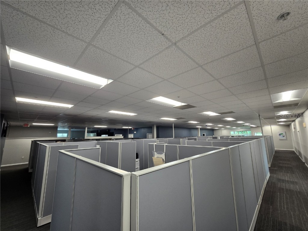 255 Pine Avenue N Oldsmar FL 34677 TB8391758 image39