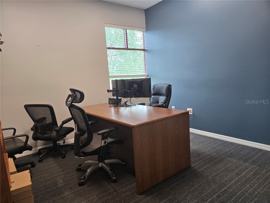 255 Pine Avenue N Oldsmar FL 34677 TB8391758 image40