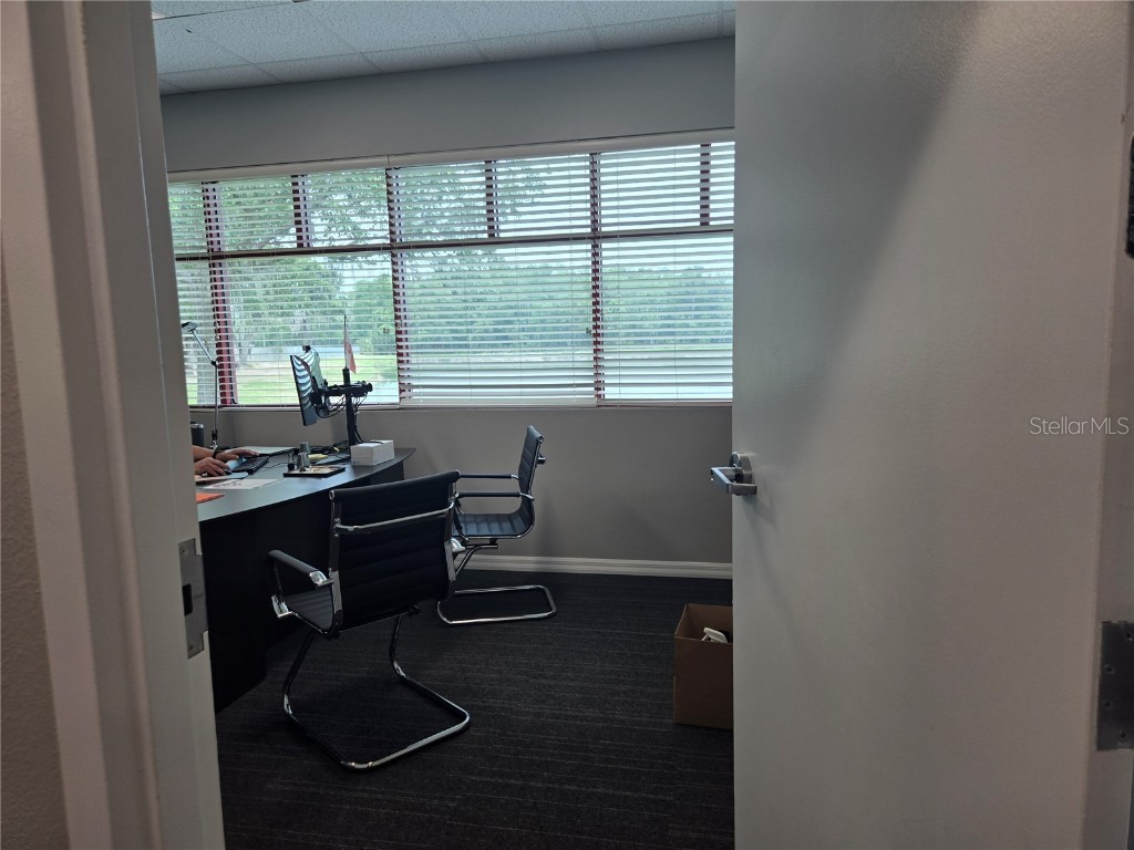 255 Pine Avenue N Oldsmar FL 34677 TB8391758 image41